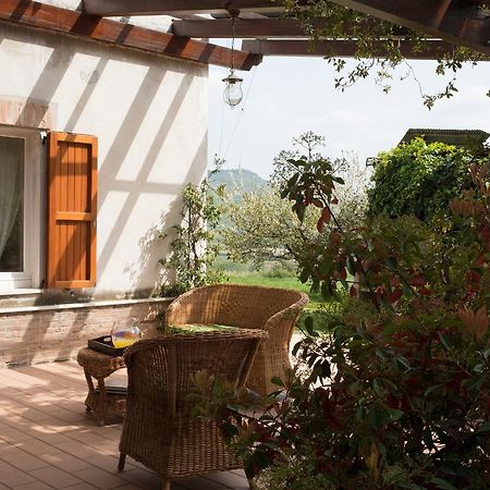 Casa Vacanze A Rubbianello Monterubbiano Exterior foto