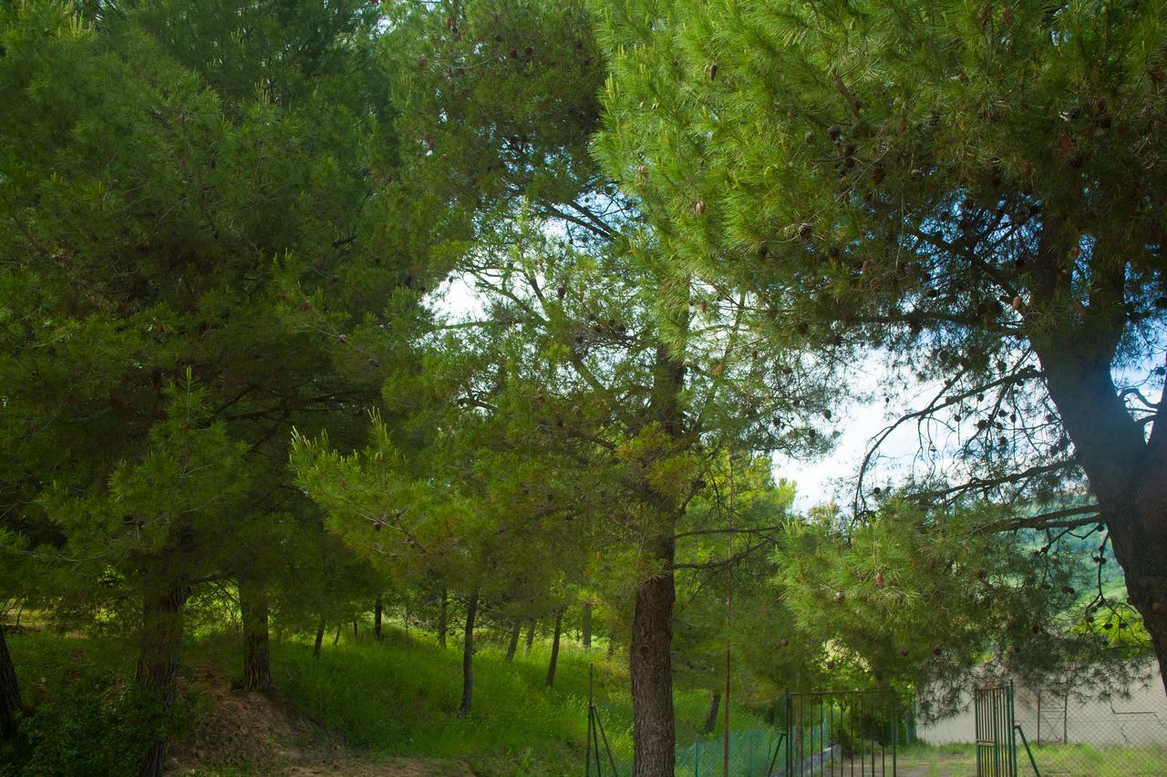 Casa Vacanze A Rubbianello Monterubbiano Exterior foto